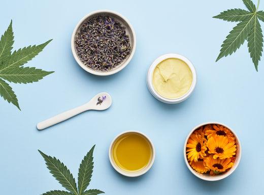 Hemp Extract, CBD and Your Skin: Exploring the Benefits for Healthy, Radiant Skin