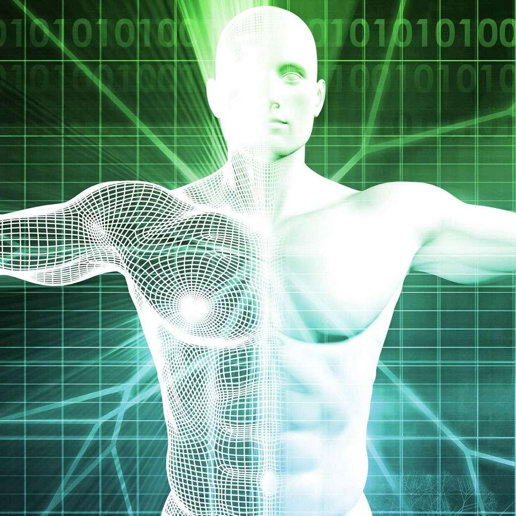 The Endocannabinoid System and Why it’s Key to our Health