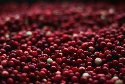 CBD Cranberry recipes
