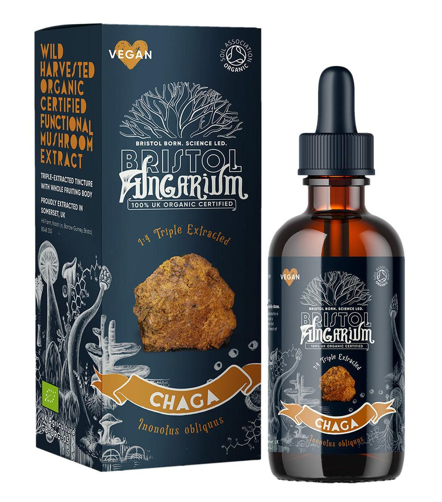 Bristol Fungarium organic Chaga with its outer black box, sold by its partner Amma Life. Triple extracted, organic certified functional mushroom extract known for its many health benefits. White background photo.